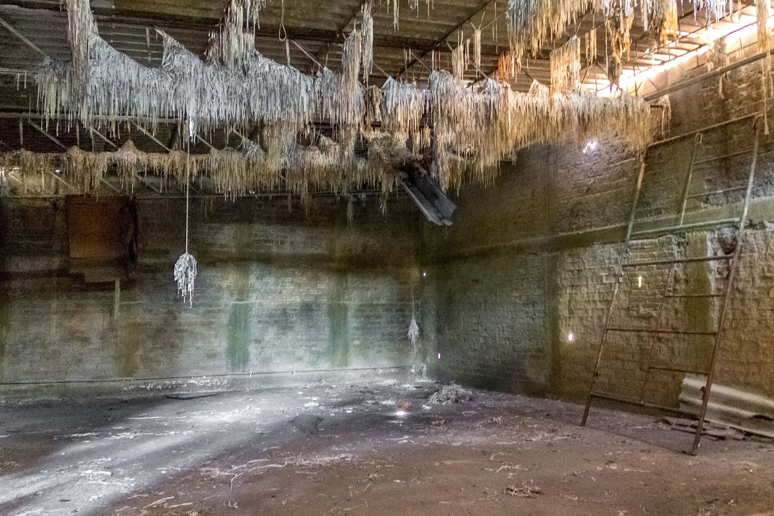 Comment déshumidifier une cave ? AirMaison.fr